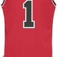 Chicago Bulls Derrick Rose Red Big & Tall Hardwood Adidas Classics Jersey